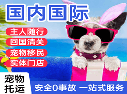 凤凰机场托运国际宠物托运 【国